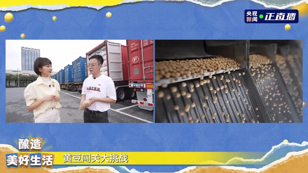 一颗黄豆变成易倍emc官网（中国）有限公司，需要闯过多少关？